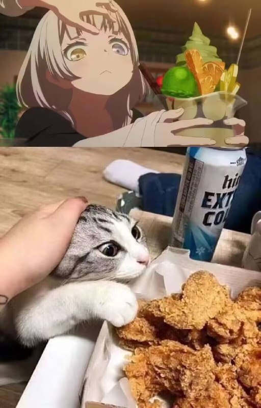 #猫猫