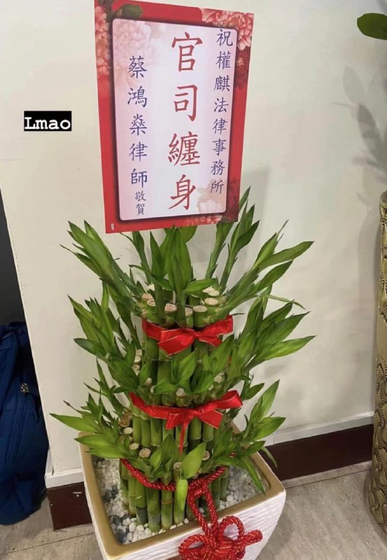 好像没毛病🤔