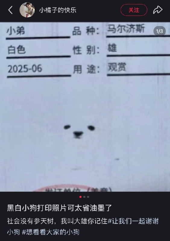 🤔？