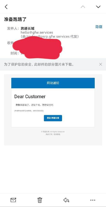 网传