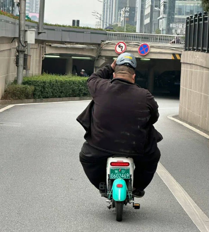尽力了尽力了