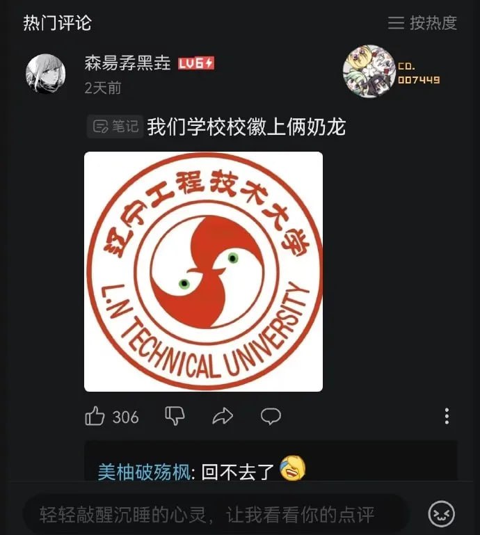 奶龙大学😅