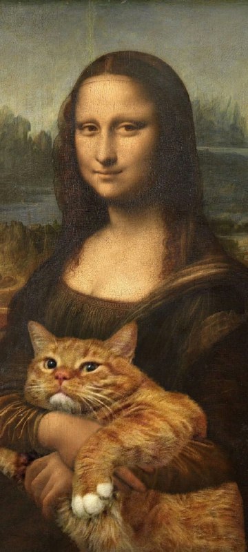 #猫猫 蒙娜丽莎 壁纸（原图见评论区）