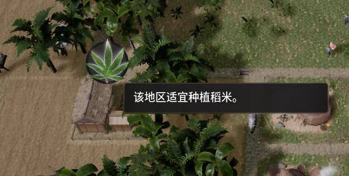 这稻米够劲