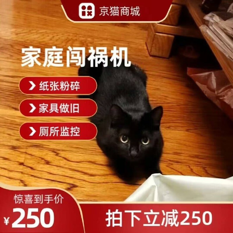 一些坏 #猫猫一些坏 #猫猫