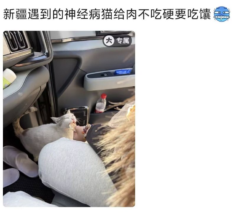 碳水喵😑#猫猫