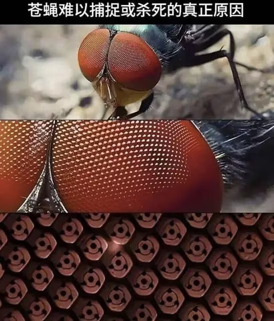 😧
