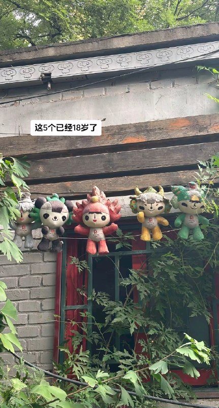时间过得真快啊
