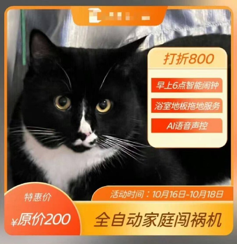 一些坏 #猫猫一些坏 #猫猫