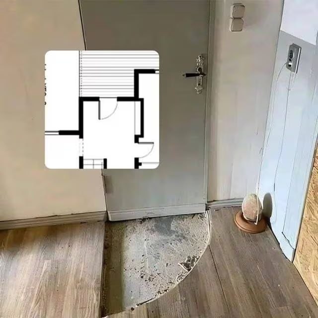 严谨