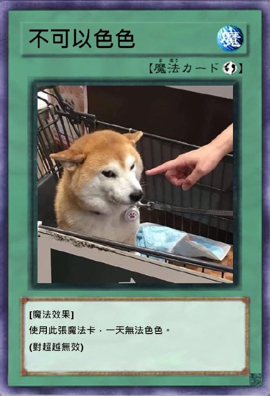 表情包“不可以色色”原型柴犬去世表情包“不可以色色”的原型柴犬 ポン 去世，享年17岁