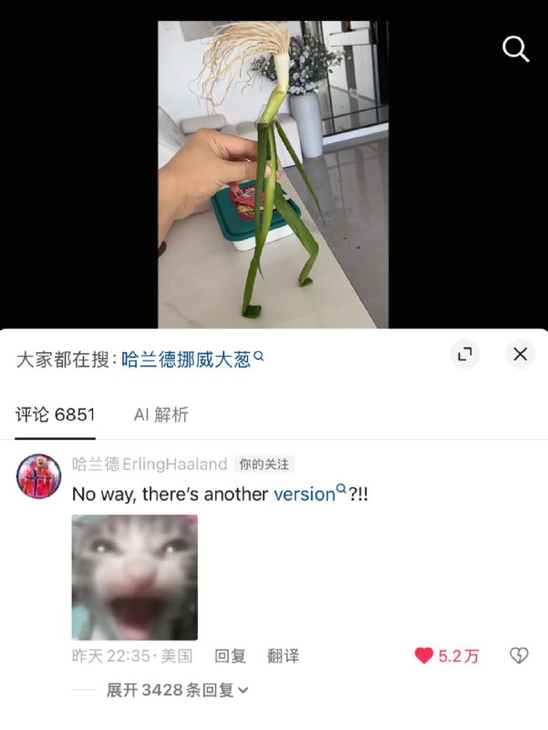 哈兰德本人回复哈兰德梗😆哈兰德本人回复哈兰德梗😆