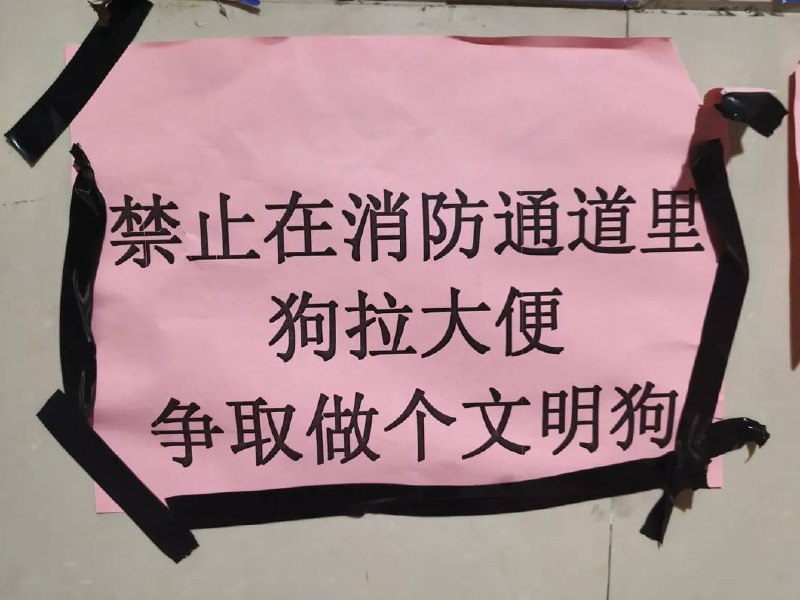 狗