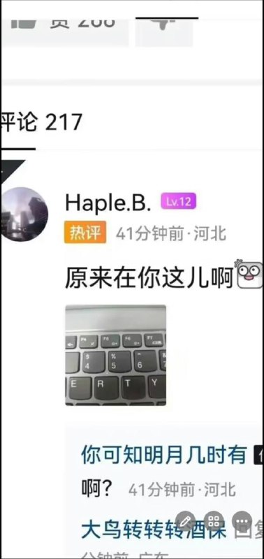 卧龙凤雏卧龙凤雏