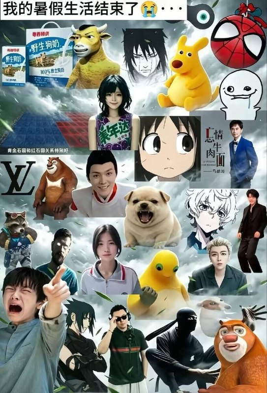 这个暑假太充实了😅