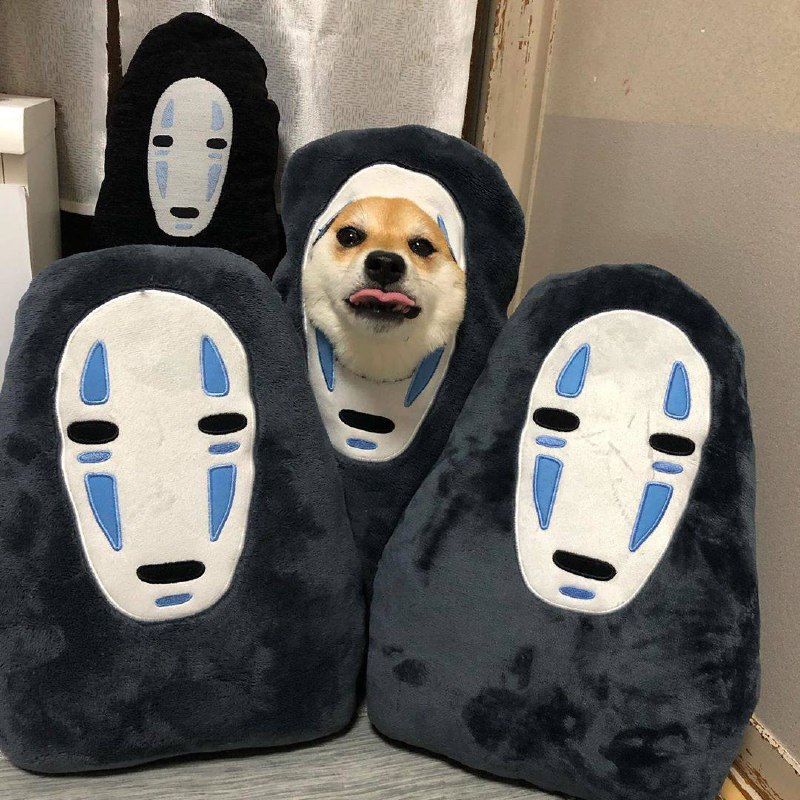#狗狗 #Cosplay#狗狗 #Cosplay