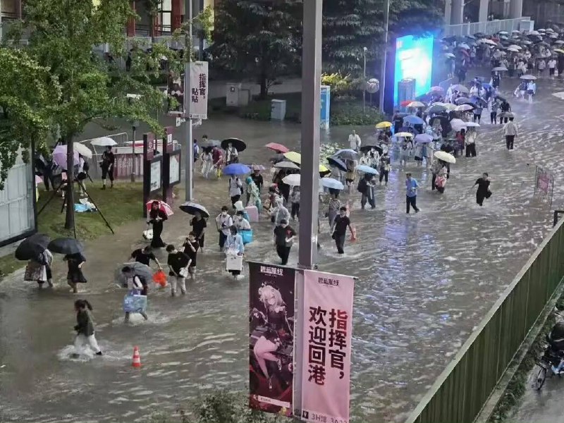 回港！