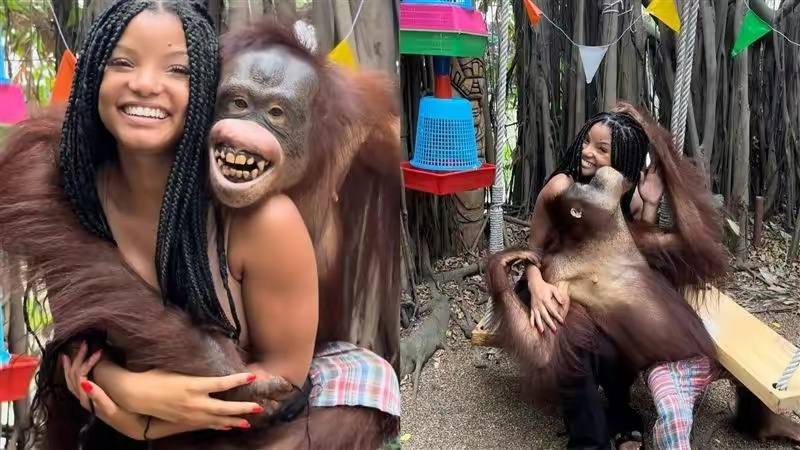 小美人鱼到泰国旅游，和大猩猩合影（左一为小美人鱼）留念