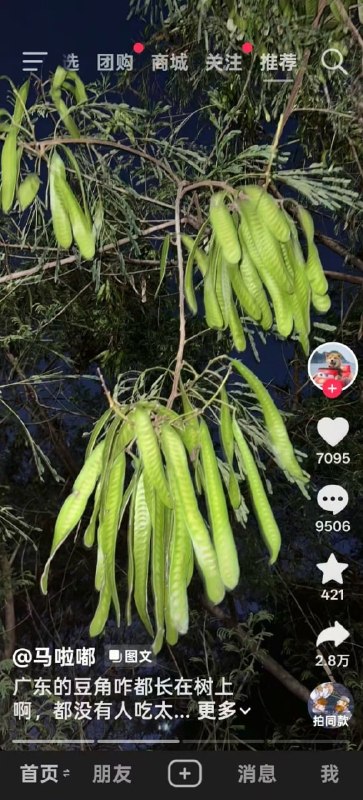 你真吃啊你真吃啊