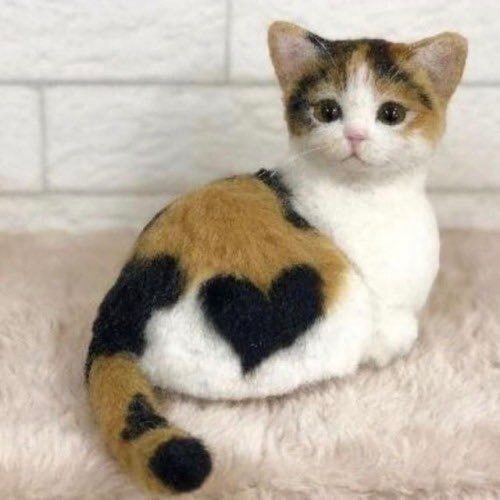 #猫猫