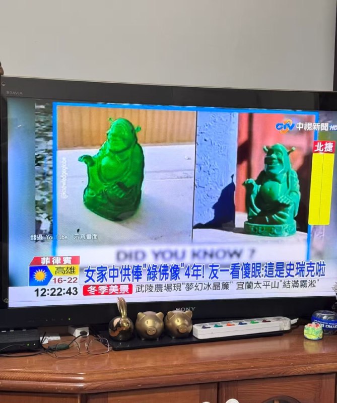 拜了四年的神明是史瑞克🌚拜了四年的神明是史瑞克🌚