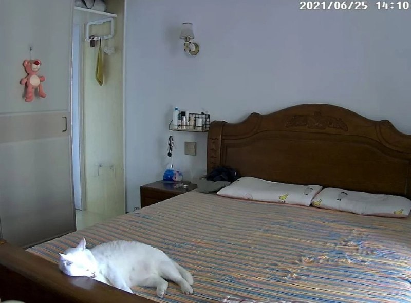 哈哈哈哈哈哈已经很努力克制自己了哈哈哈哈哈哈已经很努力克制自己了