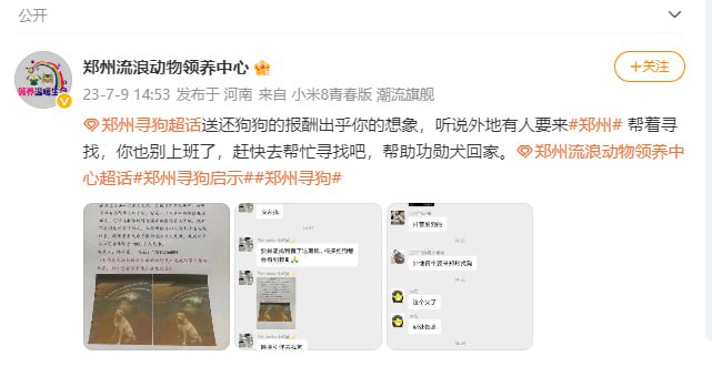郑州狗主悬赏1000万人民币寻狗郑州流浪动物领养中心 发布寻狗启事