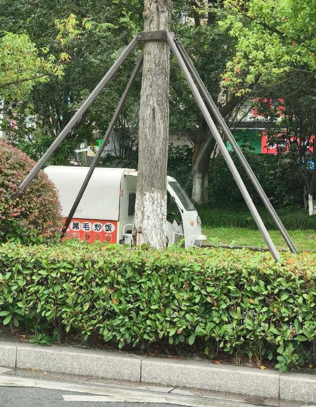 这怕是有点不好嚼吧😦