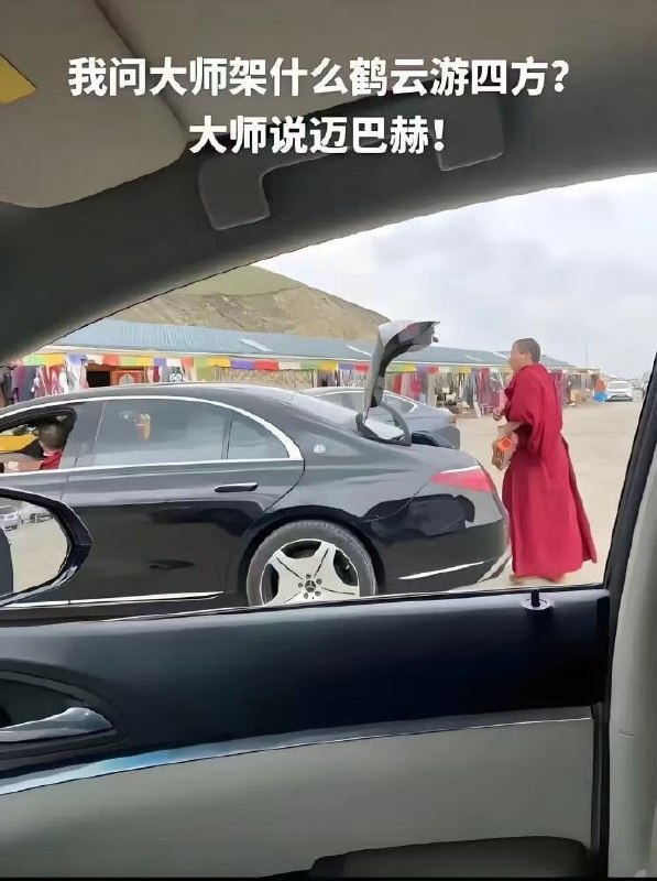 大师我悟了大师我悟了