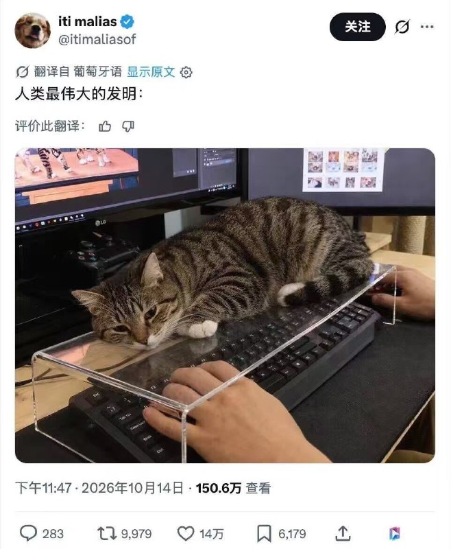 😅……😅……