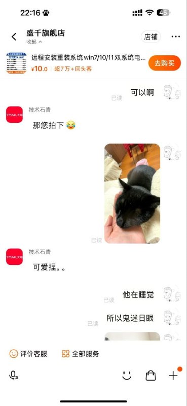 在？看看你的猫在？看看你的猫