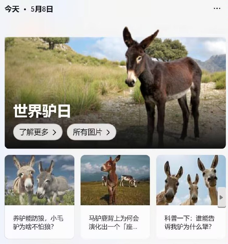 今天是世界驴日，祝频道内的所有驴子节日快乐🥰