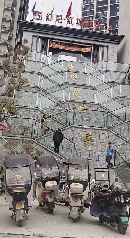 好家伙，回个家可不容易😅