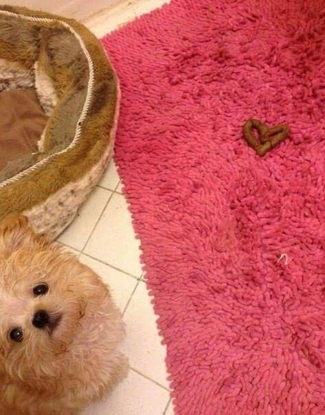 ❤️