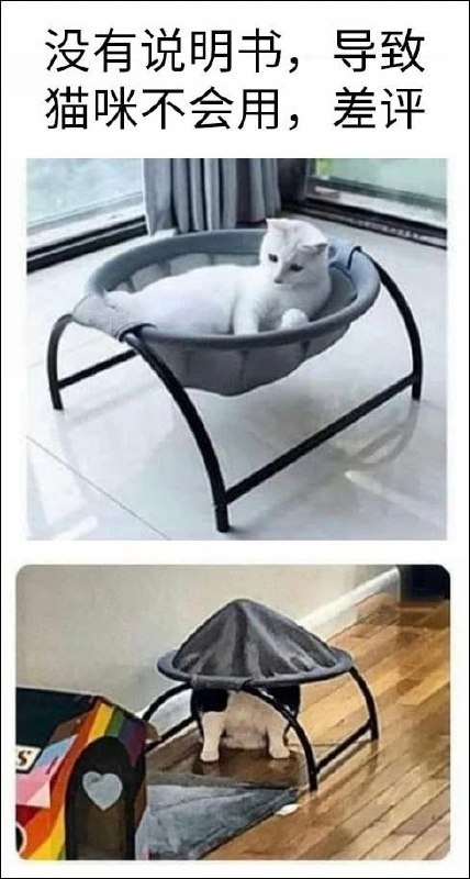 #猫猫