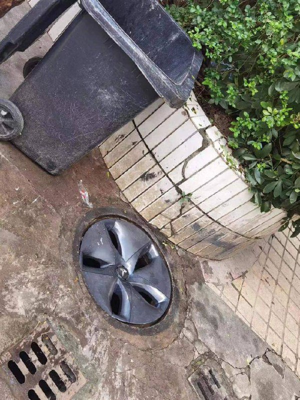 特斯拉，中！
