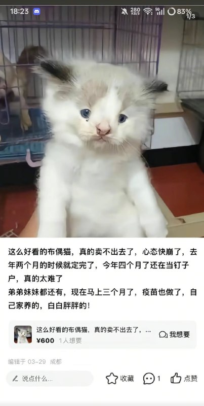 好看在哪……