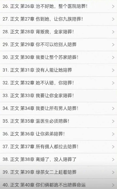 什么小说……
