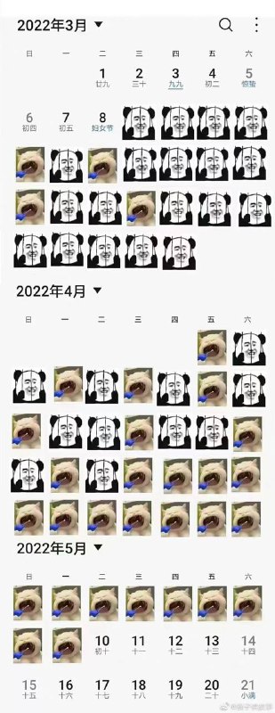 核酸日记😅