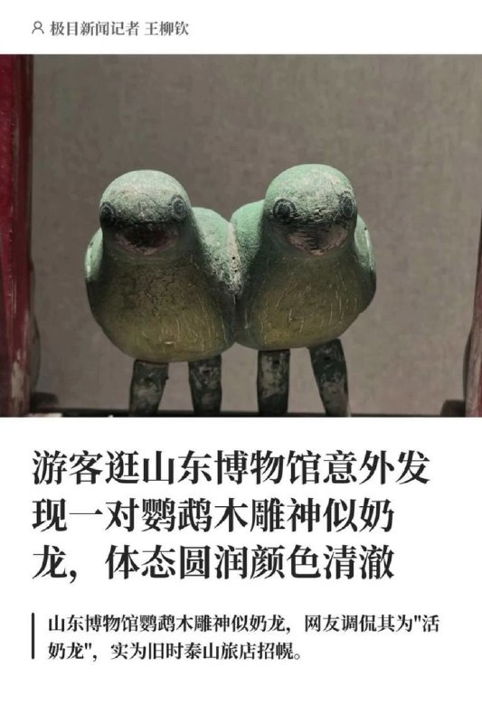 根本没有这样的鹦鹉🙈