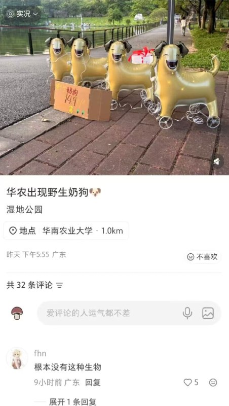 你只是怕了