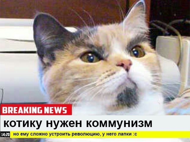 #Russian猫被制裁