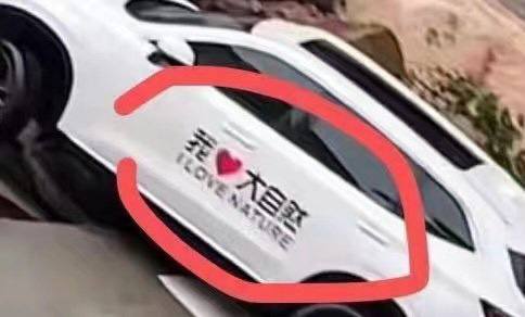 大自然不爱你大自然不爱你