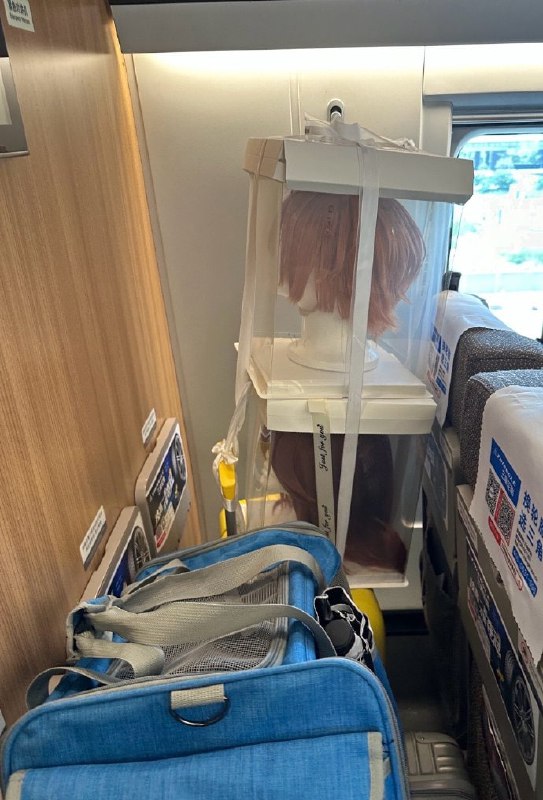 二次元列车🤔二次元列车🤔