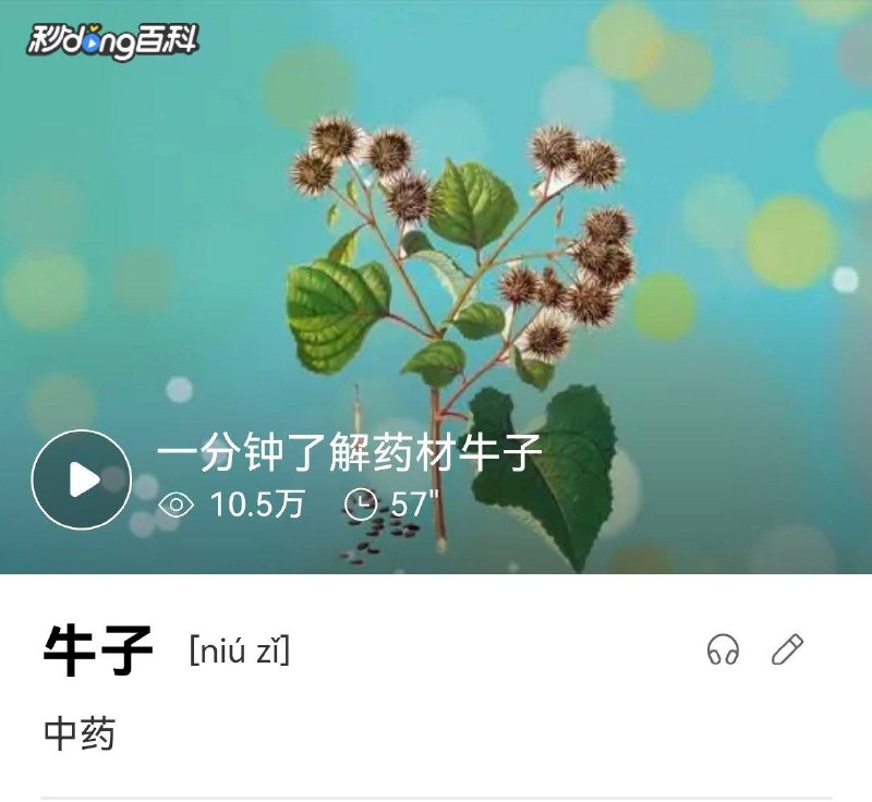 给大家看看牛子😋