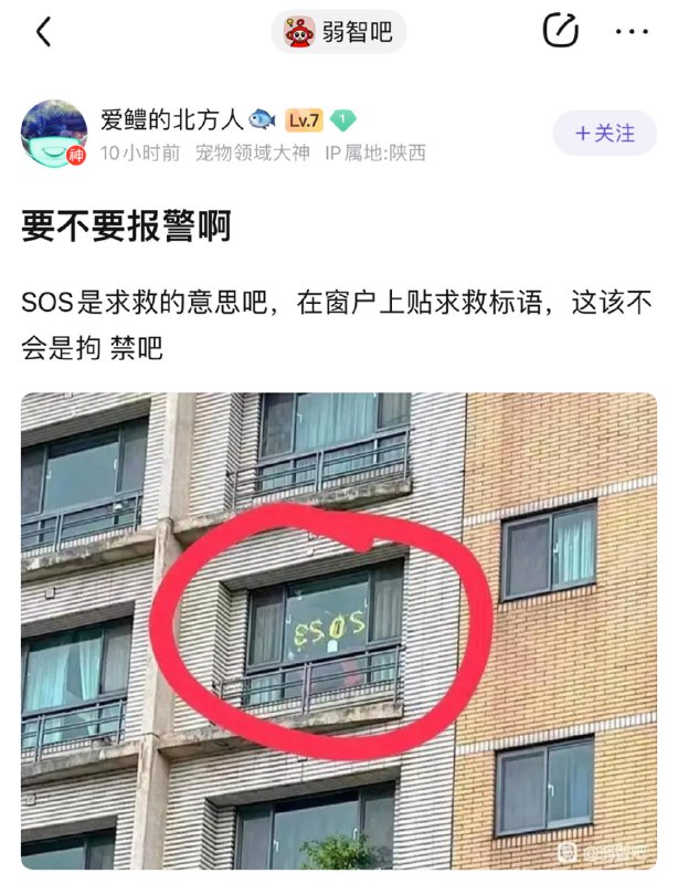#弱智吧日常