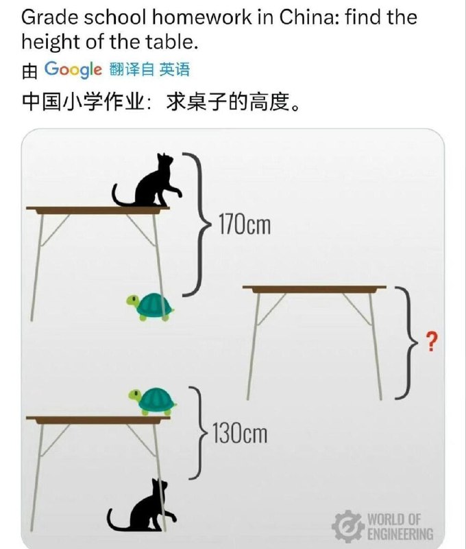 小学毕业率检测！