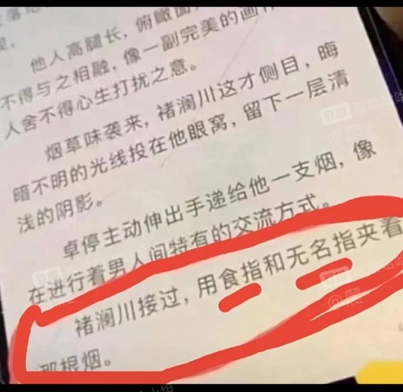 优雅优雅