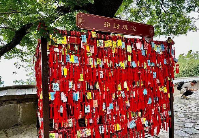 婚育下降可视化🤔️婚育下降可视化🤔️