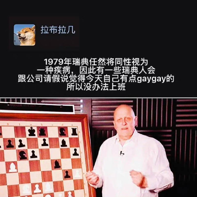 不上班的理由